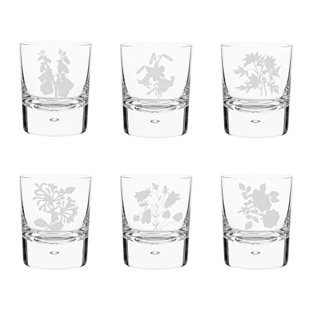 Wildflowers Handblown Crystal Tumbler Set