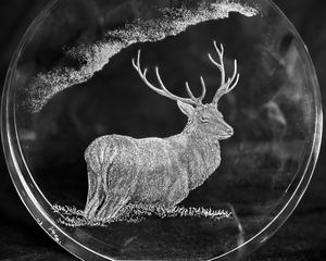 Example | Specialist Hand Engraved Stag on 7" Optical Crystal Disc